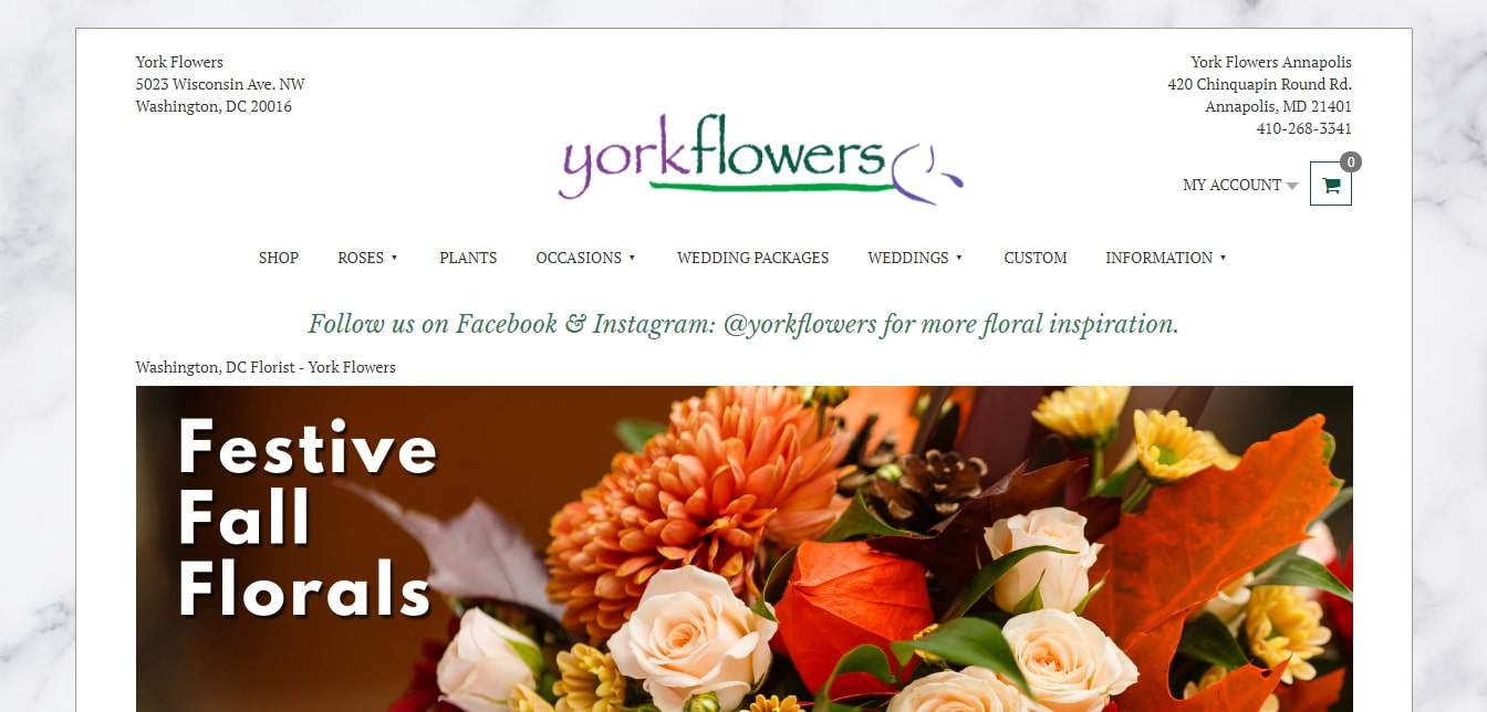 York Flowers' Homepage