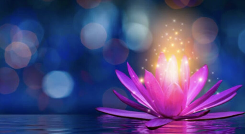 What does the purple lotus flower symbolize