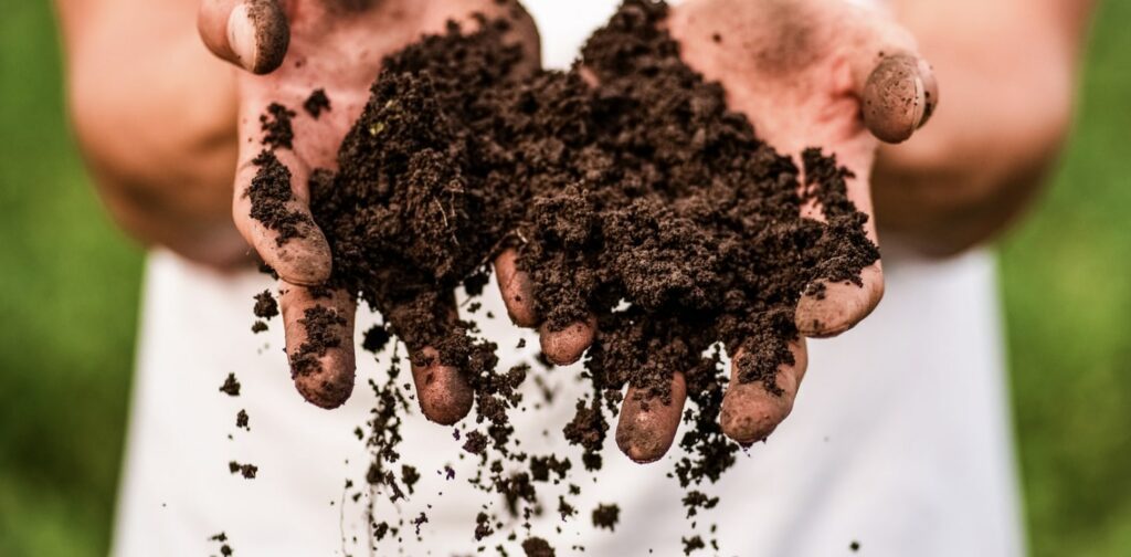 What are the signs of poor soil