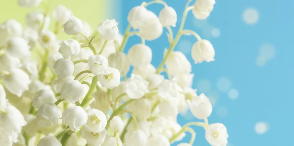 Lily of the valley symbolizes motherhood