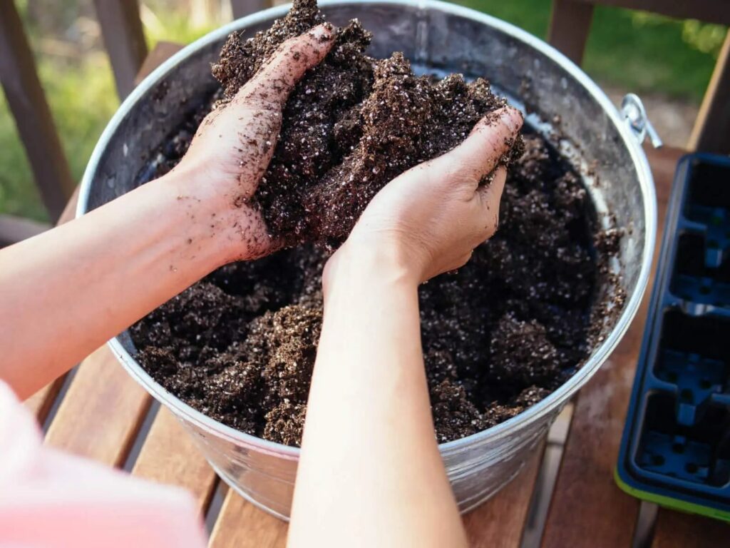 Preparing the Soil Mix